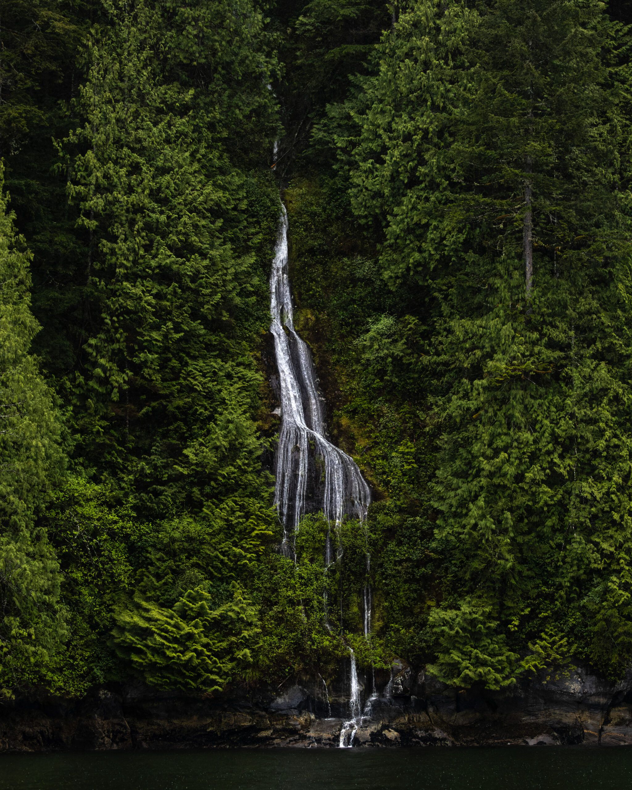 skinny waterfall flowing among trees