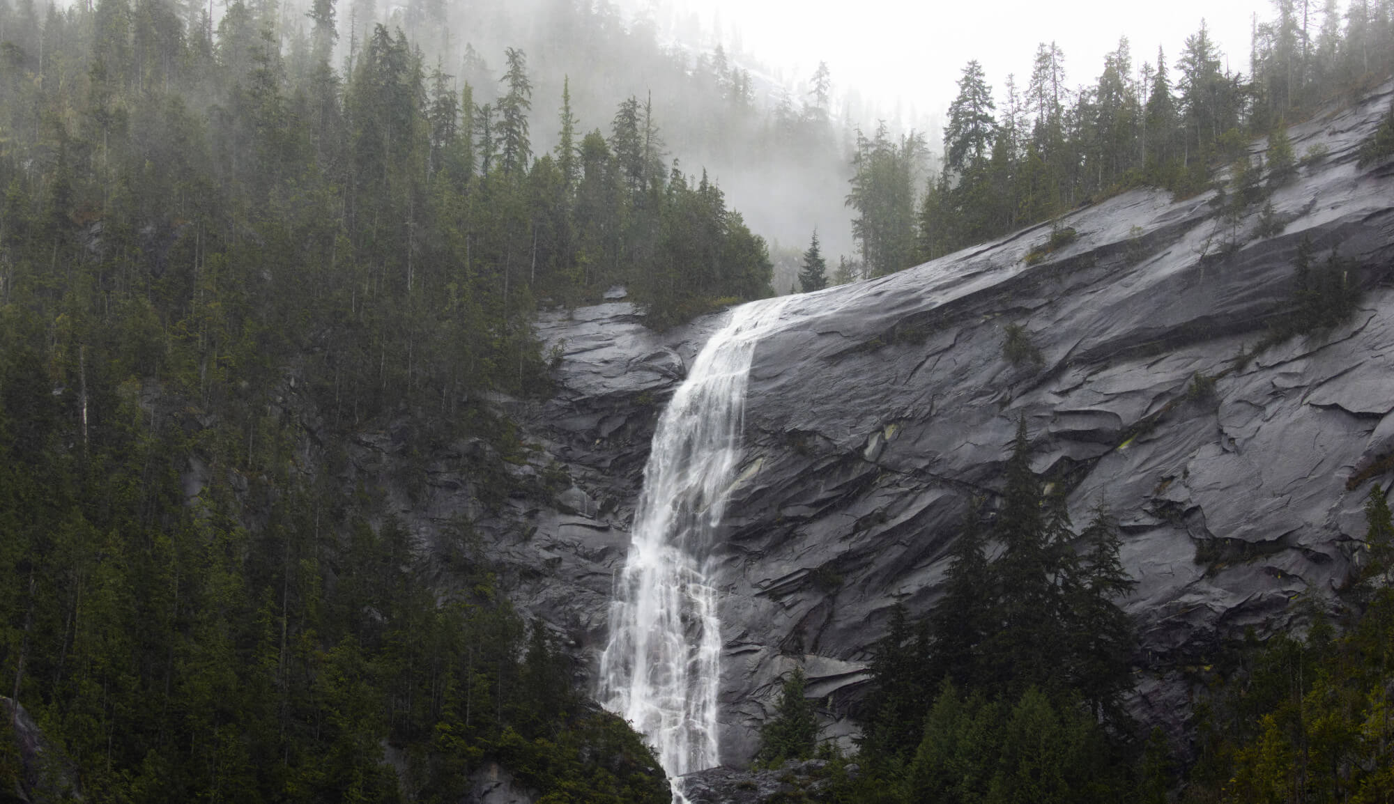 Large rock face with waterfall running down it. Forest lines the top and bottom of the image. There is fog in the trees.