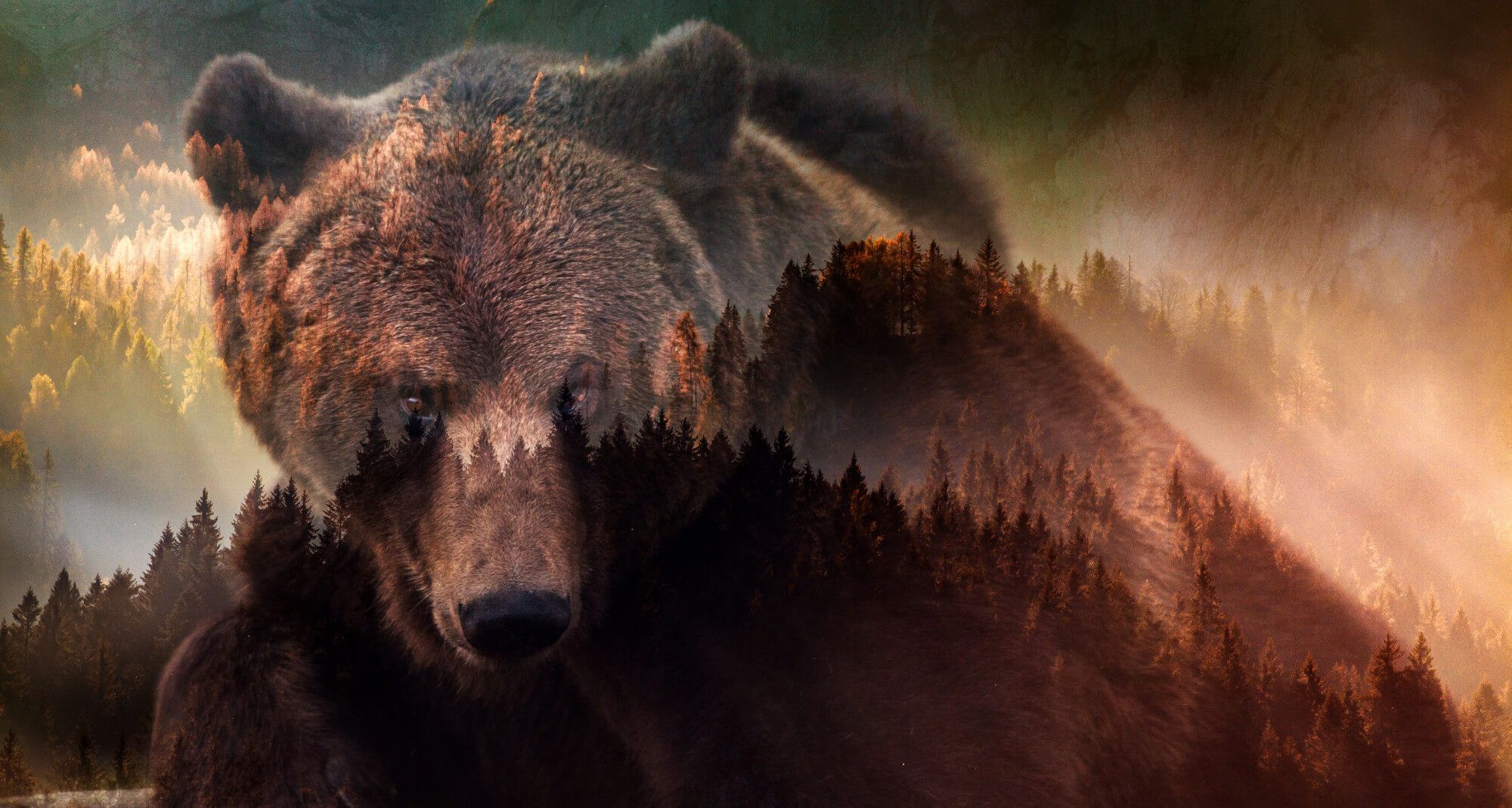 Edited image of forest lined hills with a large Grizzly Bear overlaid.